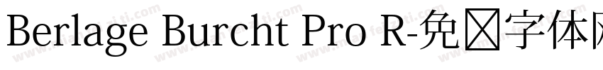 Berlage Burcht Pro R字体转换